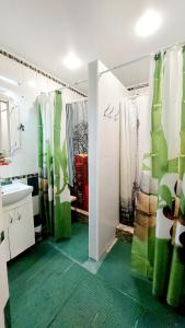 基希讷乌Hostel Amazing Ionika CenterCity的浴室配有水槽和绿色地板淋浴。