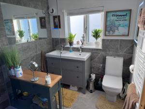 达宁顿堡Brick lodge house的一间带卫生间、水槽和镜子的浴室