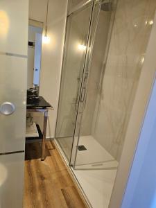 莫利纳德塞古拉Hotel Villasegura的浴室里设有玻璃门淋浴