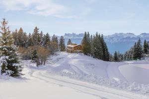 尚鲁斯L'Etincelle Mountain Lodge的雪覆盖道路上的房子