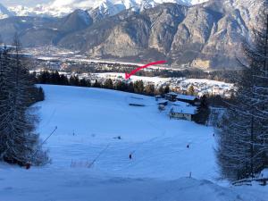 因斯布鲁克Gartenstudio Peony的一只红色风筝飞过雪覆盖的山