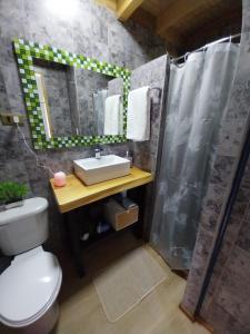 比亚里卡Nativa Glamping的浴室配有卫生间、盥洗盆和淋浴。