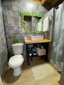 比亚里卡Nativa Glamping的一间带卫生间、水槽和镜子的浴室