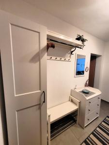 温特贝格Winterberg Appartement 21117的浴室设有1个带水槽和门的衣柜。