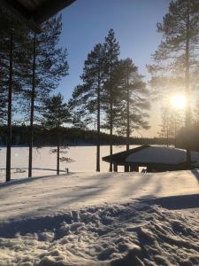 库萨莫Villa Kuiske的一片雪地,阳光照耀着树