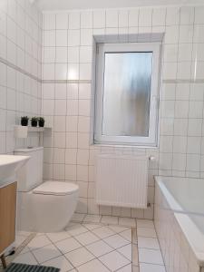 维尔茨堡Stilvolle Wohnung an der Alten Mainbrücke的白色的浴室设有卫生间和窗户。