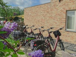 KortessemDe Pluktuin的停在砖砌建筑旁边的一群自行车