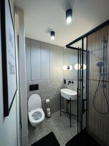 Apartament Cieszynka的一间浴室