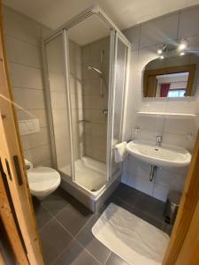 塞斯托Unteradamerhof的带淋浴、卫生间和盥洗盆的浴室