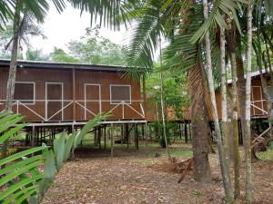 CareiroAmazon Seringal jungle Lodge的棕榈树森林中的房子