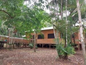 CareiroAmazon Seringal jungle Lodge的树林中间的房子