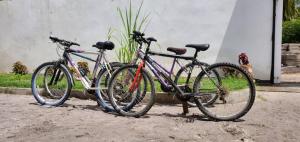 UtendeMafia Island Bungalows的两辆自行车彼此相邻