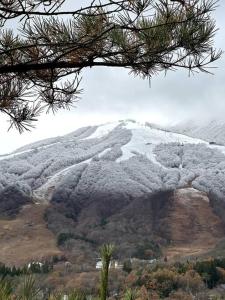 白马村AOBA Hakuba self-contained home的山顶上有树木的雪覆盖的山丘
