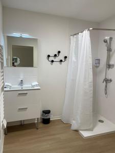 蒙彼利埃Apparteo Montpellier的浴室配有淋浴帘和盥洗盆。