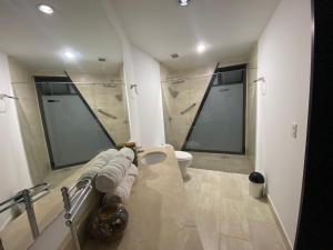里奥内格罗Suite Presidencial en hotel próximo al aeropuerto的一间带卫生间和淋浴的浴室