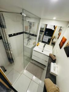 阿格德角Duplex sur Marinas Cap d'Agde的带淋浴和盥洗盆的浴室