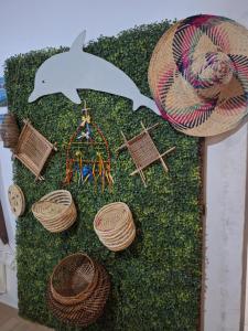 阿尔特杜尚Pousada Angatu alter的草上一幅海豚和草帽画
