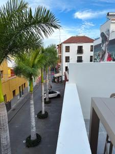 拉克鲁斯Fantástica vivienda situada el el corazón del Puerto de la Cruz的城市街道上种有棕榈树的阳台
