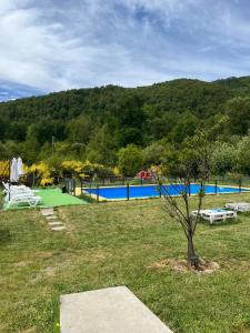平托Cabañas Rukaparra的庭院中树木的游泳池的景色