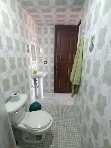 乔卢拉Alojamiento HM的一间带卫生间和水槽的浴室