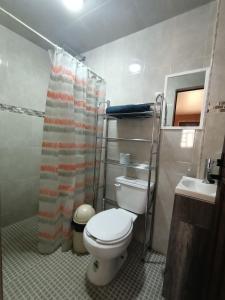 乔卢拉Alojamiento HM的一间带卫生间和淋浴帘的浴室