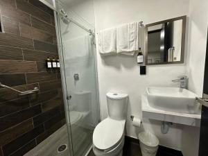 马德罗城FIESTA MIRAMAR的浴室配有卫生间、盥洗盆和淋浴。