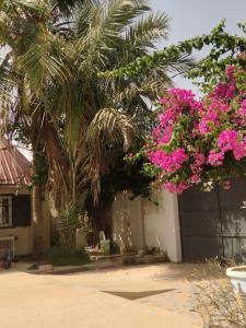 萨利波图尔ParadisPlage, 1 min de la mer的棕榈树和粉红色花的房屋