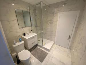 奥布河畔巴尔Maison individuelle atypique sur 2 étages的带淋浴、卫生间和盥洗盆的浴室