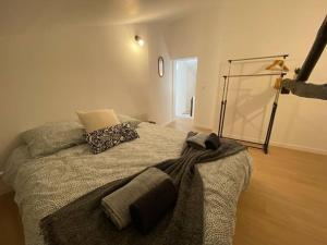 奥布河畔巴尔Maison individuelle atypique sur 2 étages的一间卧室配有一张床铺,床上有毯子