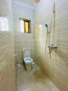 坦噶Tin apartment Tanga的一间带卫生间和淋浴的浴室