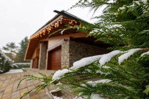 班斯科Villa Katerina Deluxe - Pirin Golf and Country Club的房子前面的雪覆盖的树