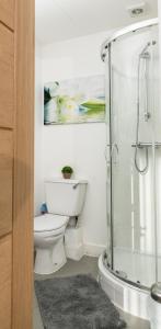 普雷斯顿Cozy Studio Flat for Rent的一间带卫生间和玻璃淋浴间的浴室