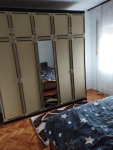 BrusVila Mihajlovic的一间房间,房间里有一扇壁橱门