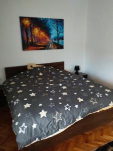 BrusVila Mihajlovic的一间卧室,配有星空床