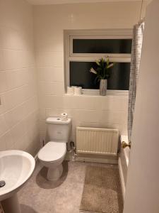 伦敦Luxury Cosy Retreat Apt的一间带卫生间、水槽和窗户的浴室