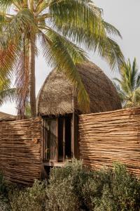 奥尔沃克斯岛Nomade Holbox的茅草屋顶和棕榈树的木屋