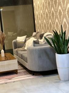 拉维尼亚山Zayn villa的一间带床和盆栽植物的客厅