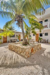 克拉伦代克The Hut Bonaire的一座建筑前的棕榈树