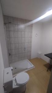维拉帕尔克西基曼Casa Hebe的一间带卫生间和淋浴的浴室