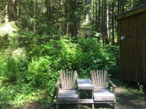 阿什福德亚历山大山林小屋宾馆的树林里设有两张木椅和一张桌子