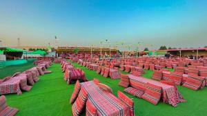 迪拜Luxury Overnight stay in Desert Safari Campsite, with dinner, adventure, entertainments, and transfers的一群坐在草地上的红椅子