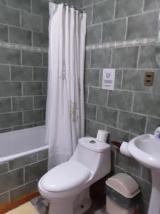 纳塔列斯港Cabañas OtilNau的浴室配有卫生间、盥洗盆和淋浴。