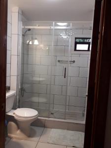 纳塔列斯港Cabañas OtilNau的一间带卫生间和玻璃淋浴间的浴室