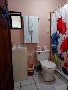 托尔图格罗Chinitas Eco Lodge的一间带卫生间和水槽的浴室
