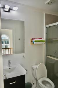 尼格瑞尔Irie Vibes Ocean View的浴室配有卫生间、盥洗盆和淋浴。