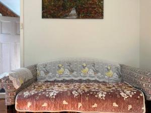 悉尼3 BDR house close to train station, airport & City的客厅里一张带毯子的沙发