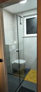 萨格勒布POMODORO ROOMS的浴室设有卫生间,可通过玻璃门进入。