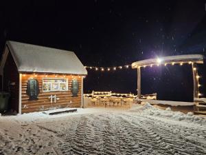 SämiSämi Siil的雪上有灯的小屋