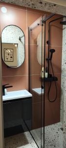 萨格勒布POMODORO ROOMS的设有带镜子和水槽的淋浴的浴室