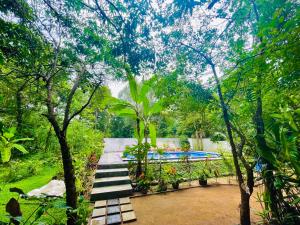 锡吉里亚Gangadiya Lodge的通往花园游泳池的台阶